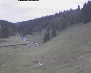 Gemeinde Kvilda - Chalupa ve stráni - 16.6.2026 v 16:45 Gemeinde Kvilda - Chalupa ve stráni - 16.6.2026 v 16:45