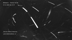 Pension Helena Honesová