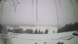 Pension Helena Honesová