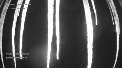 Pension Helena Honesová