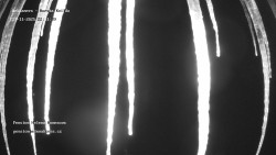 Pension Helena Honesová