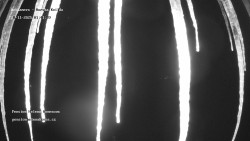 Pension Helena Honesová