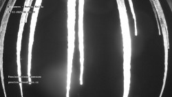 Pension Helena Honesová