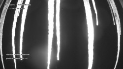 Pension Helena Honesová