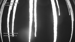 Pension Helena Honesová