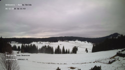 Pension Helena Honesová