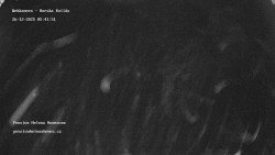 Pension Helena Honesová