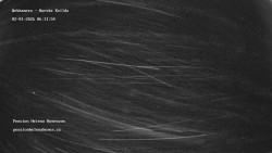 Pension Helena Honesová