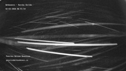 Pension Helena Honesová