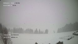 Pension Helena Honesová