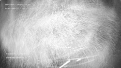 Pension Helena Honesová