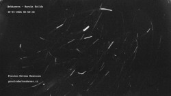 Pension Helena Honesová