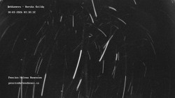 Pension Helena Honesová