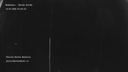 Pension Helena Honesová