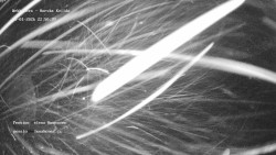 Pension Helena Honesová