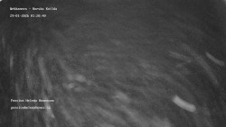 Pension Helena Honesová