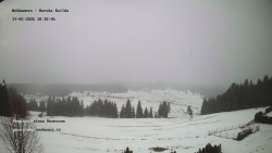 Pension Helena Honesová