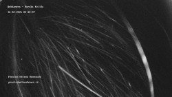 Pension Helena Honesová