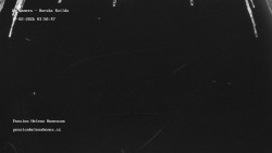 Pension Helena Honesová