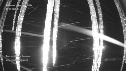 Pension Helena Honesová