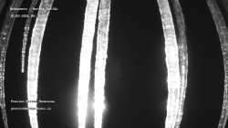 Pension Helena Honesová