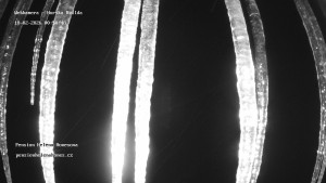 Obec Horská Kvilda - Pension Helena Honesová - 18.2.2026 v 01:00 Obec Horská Kvilda - Pension Helena Honesová - 18.2.2026 v 01:00