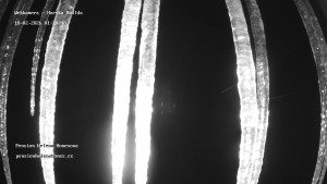 Obec Horská Kvilda - Pension Helena Honesová - 18.2.2026 v 01:30 Obec Horská Kvilda - Pension Helena Honesová - 18.2.2026 v 01:30