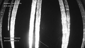 Obec Horská Kvilda - Pension Helena Honesová - 18.2.2026 v 02:00 Obec Horská Kvilda - Pension Helena Honesová - 18.2.2026 v 02:00