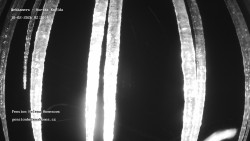 Pension Helena Honesová