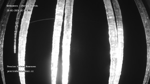 Obec Horská Kvilda - Pension Helena Honesová - 18.2.2026 v 03:00 Obec Horská Kvilda - Pension Helena Honesová - 18.2.2026 v 03:00