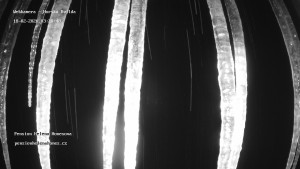Obec Horská Kvilda - Pension Helena Honesová - 18.2.2026 v 03:30 Obec Horská Kvilda - Pension Helena Honesová - 18.2.2026 v 03:30