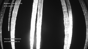 Obec Horská Kvilda - Pension Helena Honesová - 18.2.2026 v 04:00 Obec Horská Kvilda - Pension Helena Honesová - 18.2.2026 v 04:00