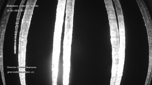 Obec Horská Kvilda - Pension Helena Honesová - 18.2.2026 v 05:30 Obec Horská Kvilda - Pension Helena Honesová - 18.2.2026 v 05:30