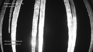Obec Horská Kvilda - Pension Helena Honesová - 18.2.2026 v 06:00 Obec Horská Kvilda - Pension Helena Honesová - 18.2.2026 v 06:00