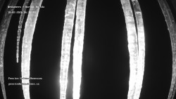 Pension Helena Honesová