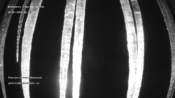 Pension Helena Honesová