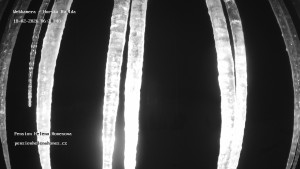 Obec Horská Kvilda - Pension Helena Honesová - 18.2.2026 v 06:30 Obec Horská Kvilda - Pension Helena Honesová - 18.2.2026 v 06:30