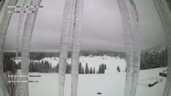 Pension Helena Honesová