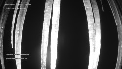 Pension Helena Honesová