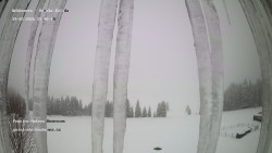 Pension Helena Honesová