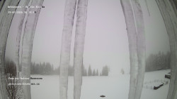 Pension Helena Honesová