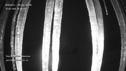 Pension Helena Honesová