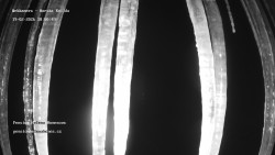 Pension Helena Honesová