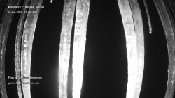 Pension Helena Honesová