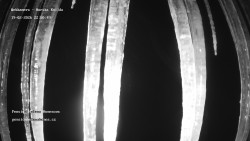 Pension Helena Honesová