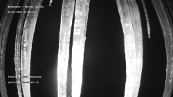 Pension Helena Honesová