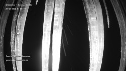 Pension Helena Honesová