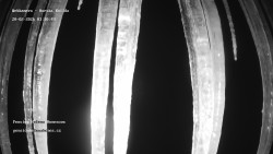 Pension Helena Honesová