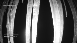 Pension Helena Honesová