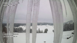 Pension Helena Honesová